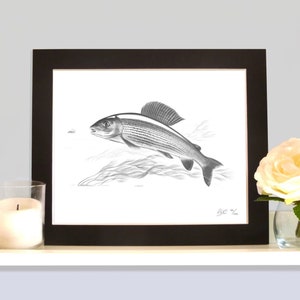 Peut inclure: Un dessin au crayon noir et blanc d'un ombre commun sautant hors de l'eau. Le poisson est représenté en détail, avec ses nageoires et ses écailles clairement visibles. Le dessin est encadré dans un cadre noir.