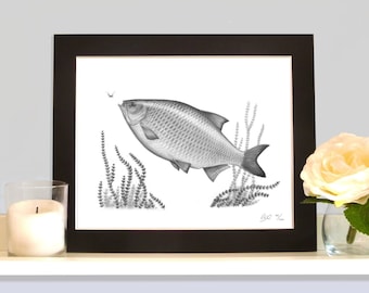 Rudd Limited Edition Fishing Print Picture