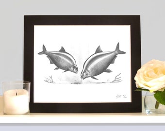 Bream Freshwater Fish Art Picture