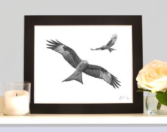 Red Kites A Signed Numbered Print By Robin Woolnough Birds of Prey Wildlife Art Father's day present Gift for Dad