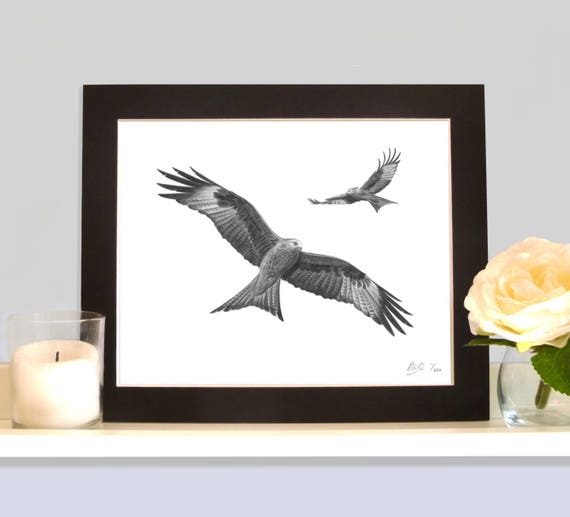 Red Kites A Signed Numbered Print By Robin Woolnough Bird of Prey Wildlife Art Picture