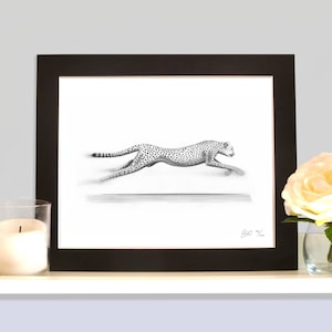 Cheetah 'Sprinting' Part 3 of The Cheetah Triptych African Wildlife Collection of Pictures