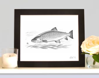 Sea Trout Migratory Trout Pencil Drawing Art Print Picture