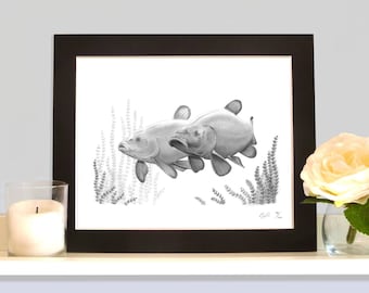 Tench Tinca Tinca Limited Edition Summer Fishing Art picture