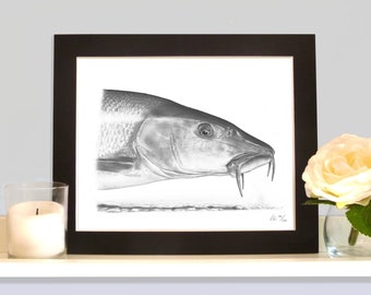 Barbel Head Study Image de poisson contemporaine en édition limitée pour pêcheur
