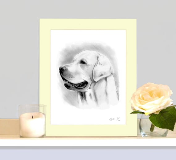 Labrador Limited Edition Art Ołówek Rysunek Print Picture Wall Art Bezpośrednie Od Artysty Podpisane Może Dodać Nazwę Psy