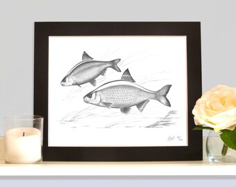 Roach Limited Edition Art Fishing Picture