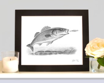 Bass Taking a Dexter Wedge Sea fishing Art Picture From a Drawing By Robin Woolnough
