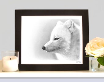 Arctic Fox Limited Edition Art Picture