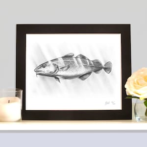 May include: A black and white pencil drawing of a cod fish. The fish is depicted swimming to the right, with its mouth open and its fins spread out. The drawing is framed in a black frame.