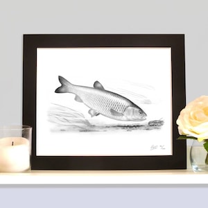 May include: A black and white pencil drawing of a fish swimming in water. The fish is facing right and has a detailed, realistic appearance. The drawing is framed in a black frame.