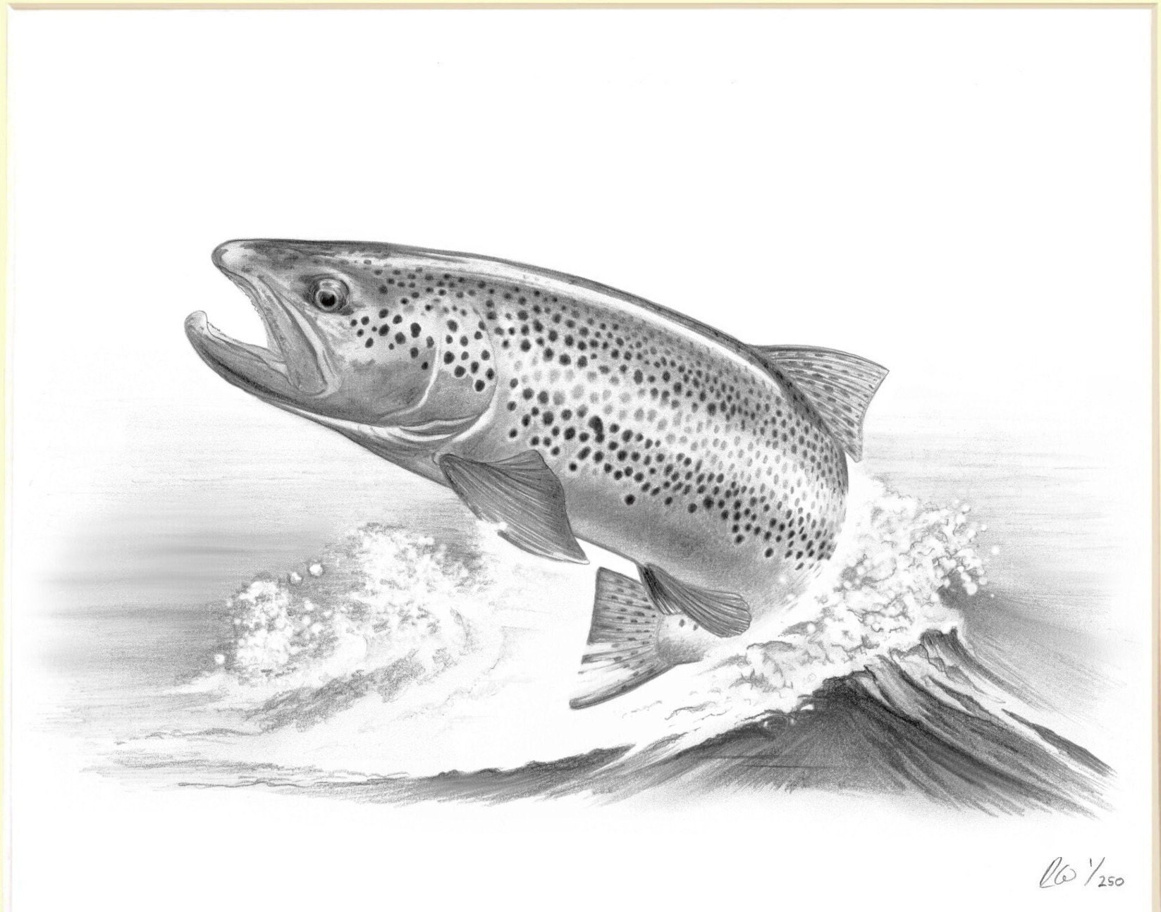 Autocollant de voiture avec motif truite marron pour pêche en