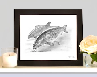 Heads Down Common Carp Limited Edition Fish Art Print Picture