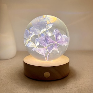 Könnte beinhalten: Eine klare Glaskugel mit getrockneten lila Blumen darin, die von unten durch ein warmes Licht beleuchtet wird. Die Kugel sitzt auf einem Holzsockel mit einem runden Knopf an der Unterseite.