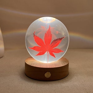 Ahornblatt-Harz-Kugellampe, echtes Blatt-Nachtlicht, getrocknete rote Blatt-Nachtlampe, konservierte Ahornharz-Kunst, ewige Blätter-Lampe, Weihnachtsgeschenk