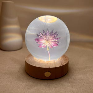 Star Celery Flower Resin Ball Night Light, Dried Flower Night Lamp, Preserved Floral Table Lamp, Eternal Astrantia Resin Art Bedside Lamp
