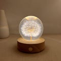 Dried Dandelion Night Light, Real Flower Night Lamp, Preserved Floral Resin Art Lamp, Dandelion Bedside Lamp, Personalized Birthday Gift product logo