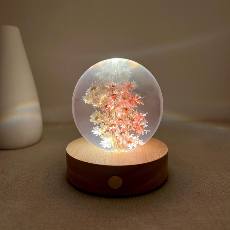 Lámpara de noche con margaritas blancas y rosas, bola de resina con margaritas secas, lámpara de noche con flores reales, decoración de habitación con margaritas preservadas, luz de noche con flores eternas.