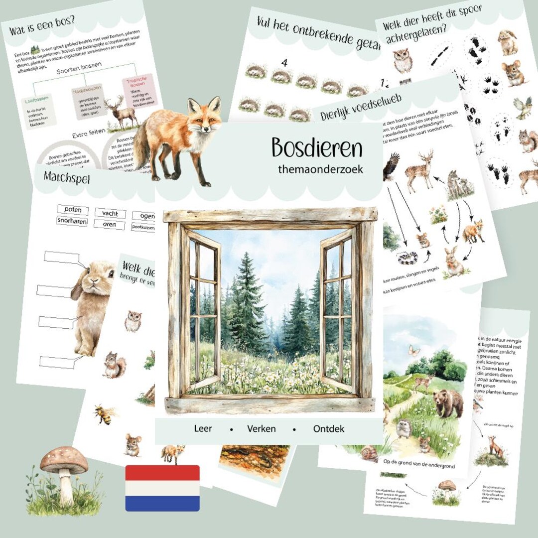 Woodland & Forest Animals Unit Study – Montessori Style Learning Pack ...