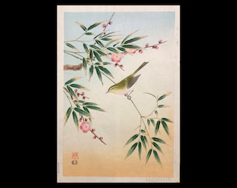 SHIZUO ASHIKAGA (Japans, 1917-1991), "Nachtegaal en pruimenbloesems", ca. 1950, polychrome houtsnede, gesigneerd.