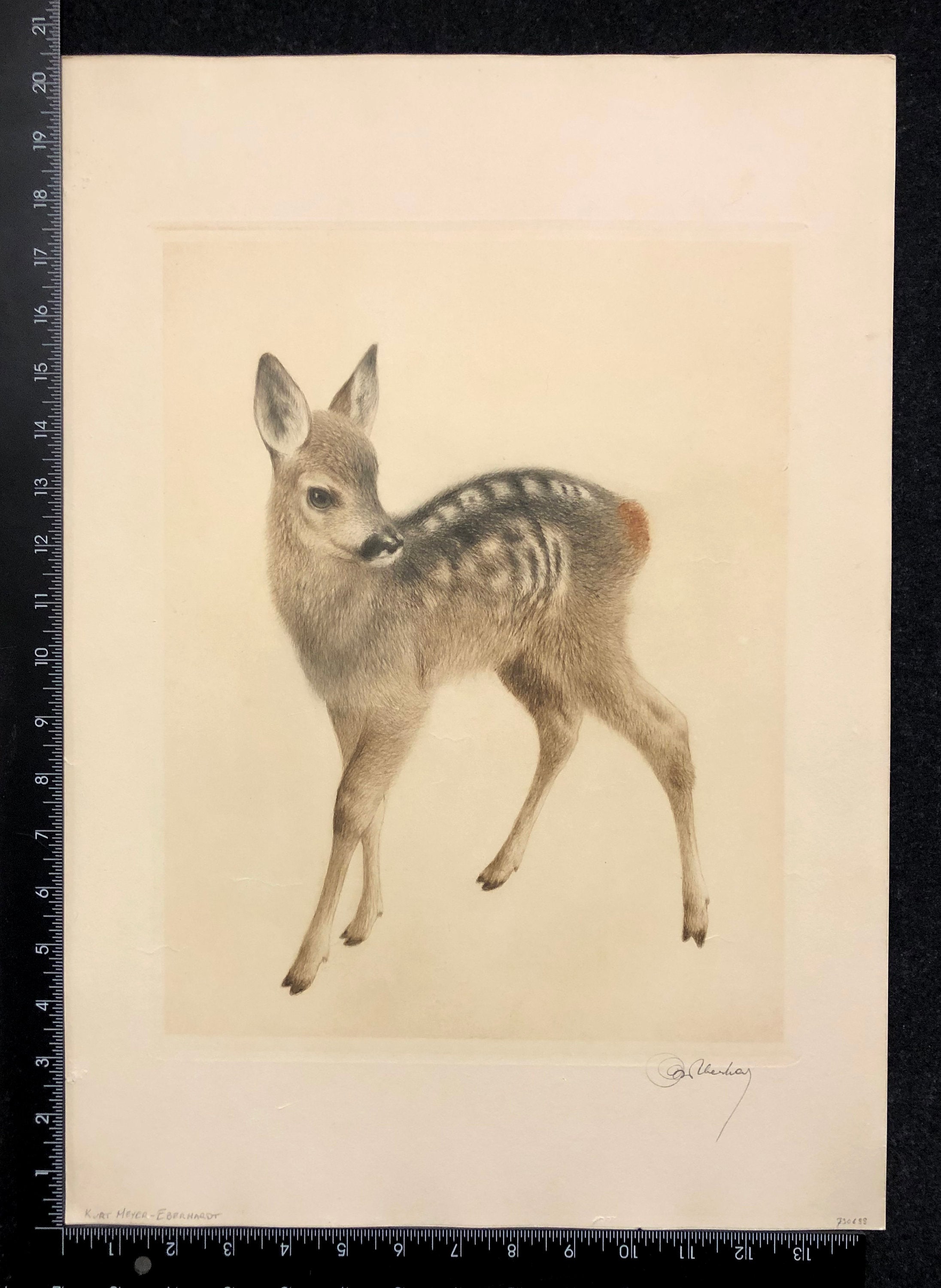 KURT MEYER-EBERHARDT (german, 1895-1977), 