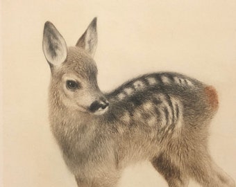 他の方発送× Meyer-Eberhardt KURT MEYER-EBERHARDT (german, 1895-1977), 