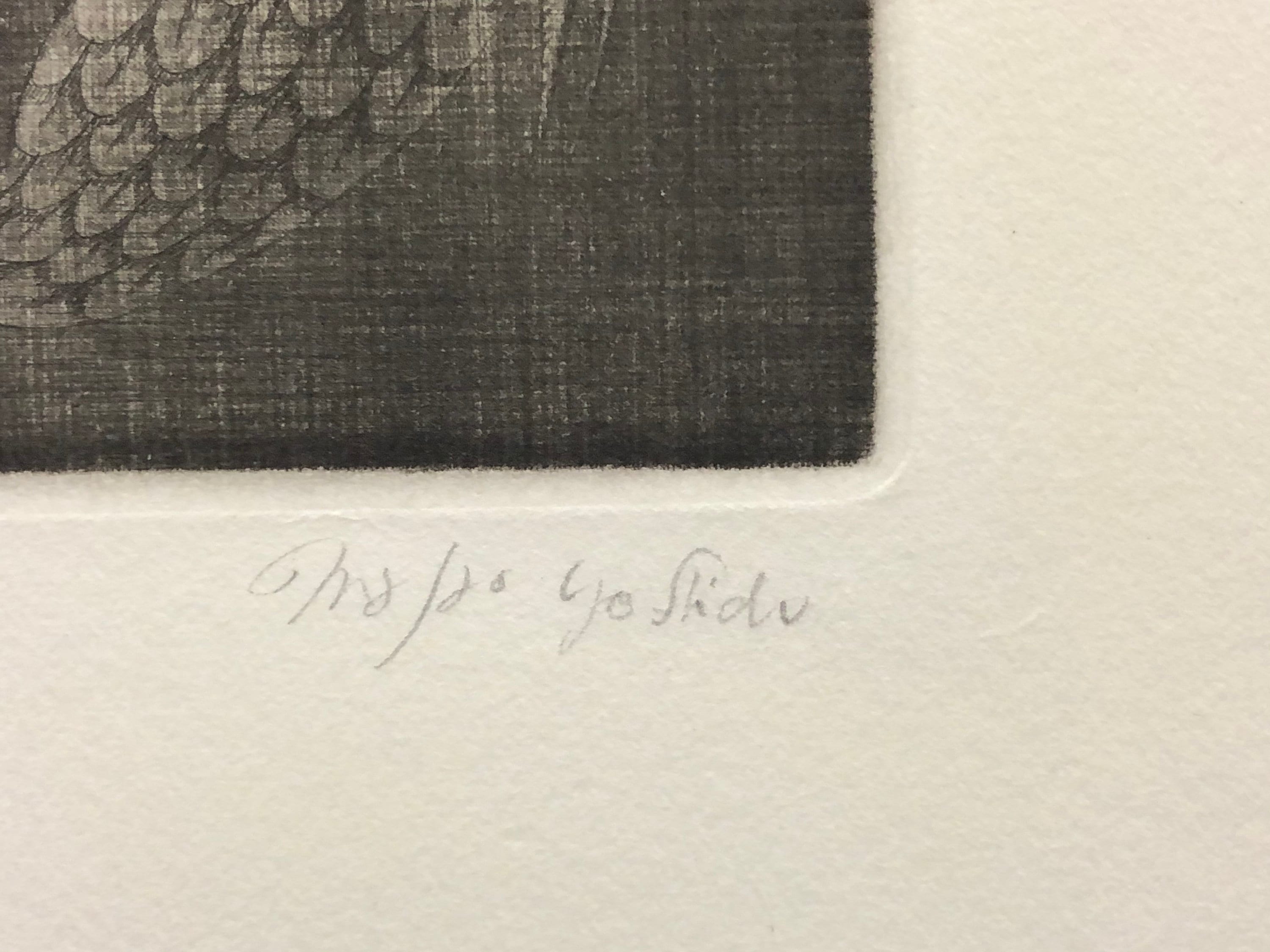 吉田正雄（日本人、1934-1998）、「魚」、1970年頃、メゾチント、鉛筆