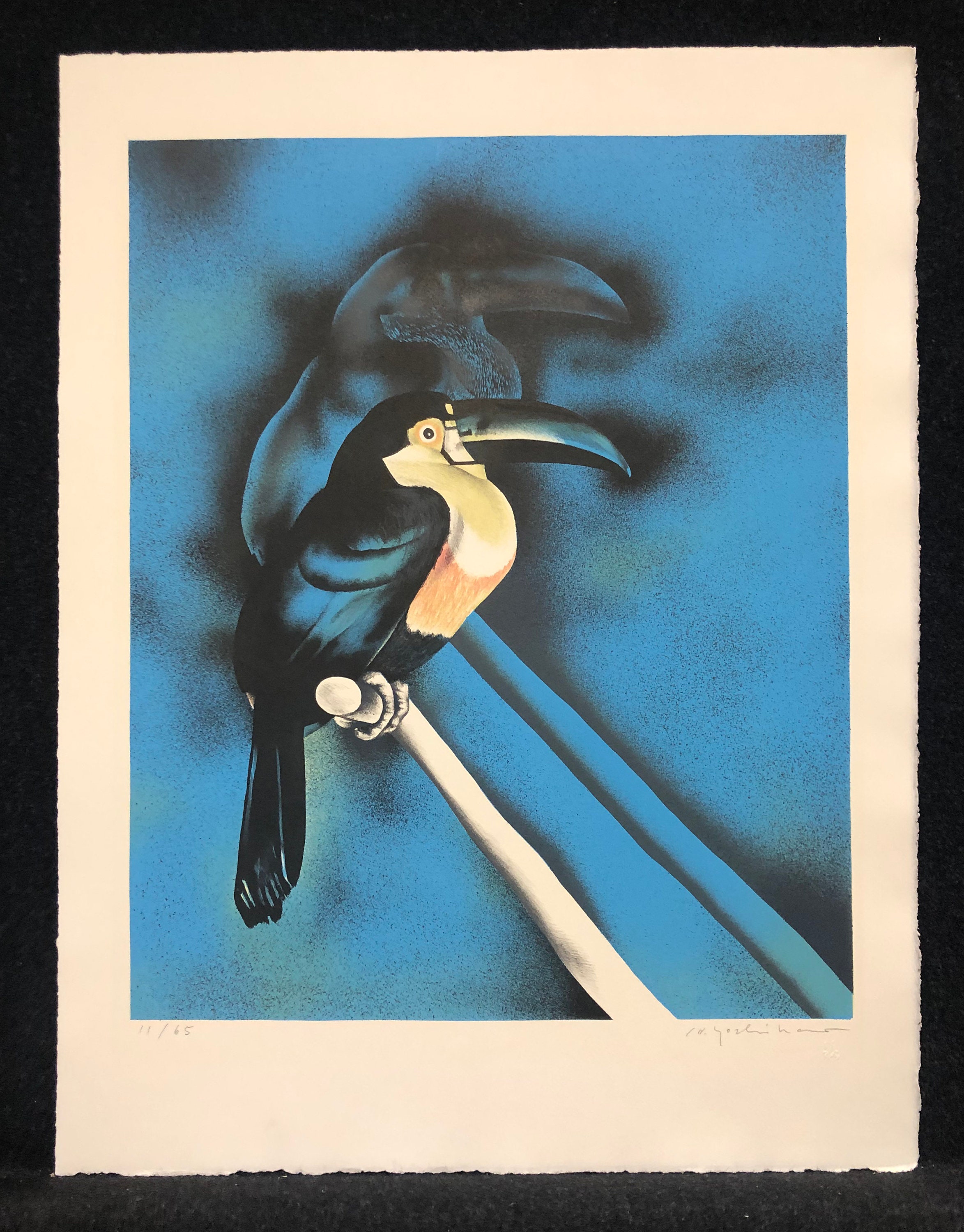 Shuya Chiba (千葉修也)  蝶画Toucan Bird (オオハシ) il_fullxfull.3724360378_by4h.jpg