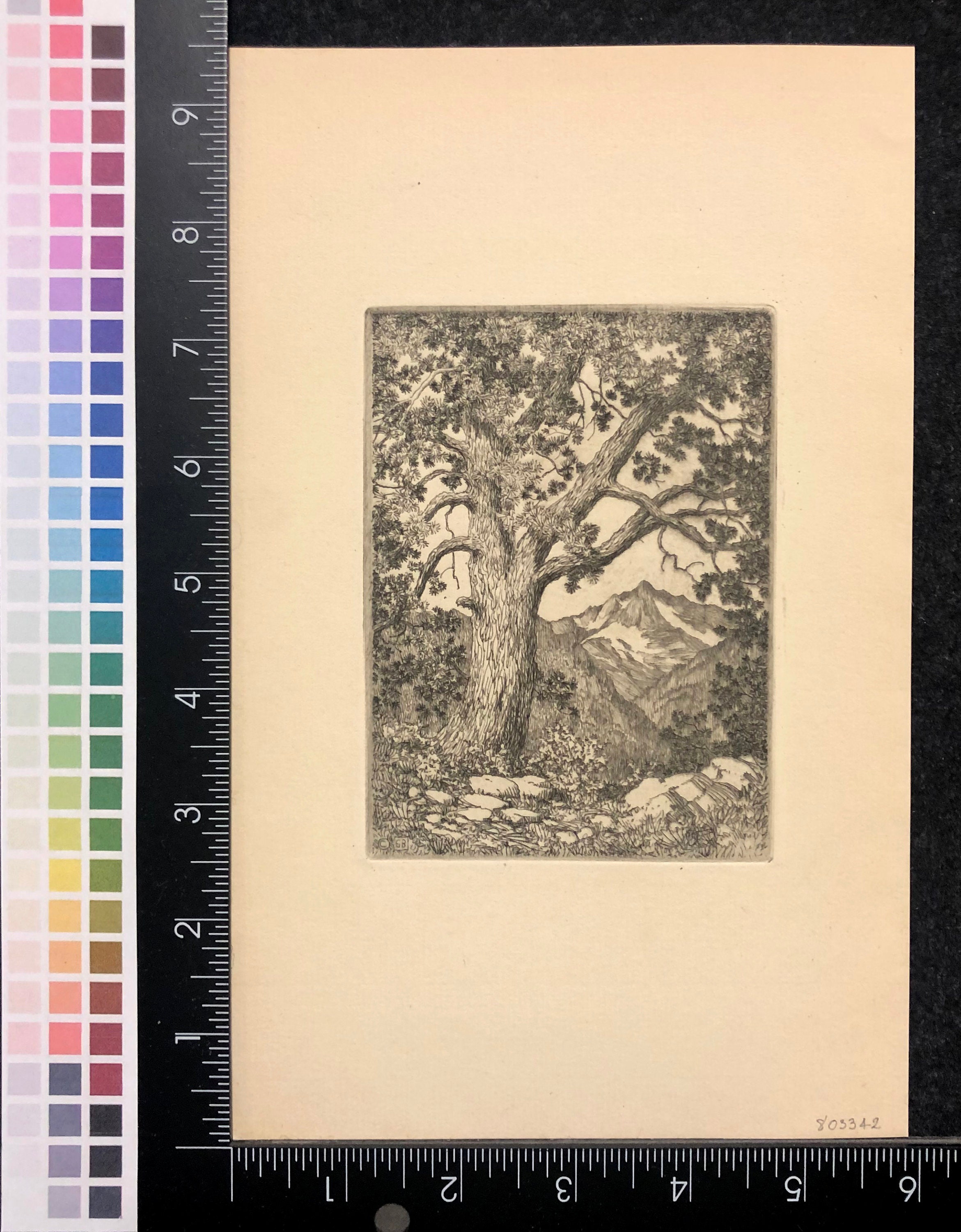 Gravura De Qualidade De Museu Sem título (tradução para Springtime, Paradise  Valley Arizona), 1920 por George Elbert Burr (1859-1939)