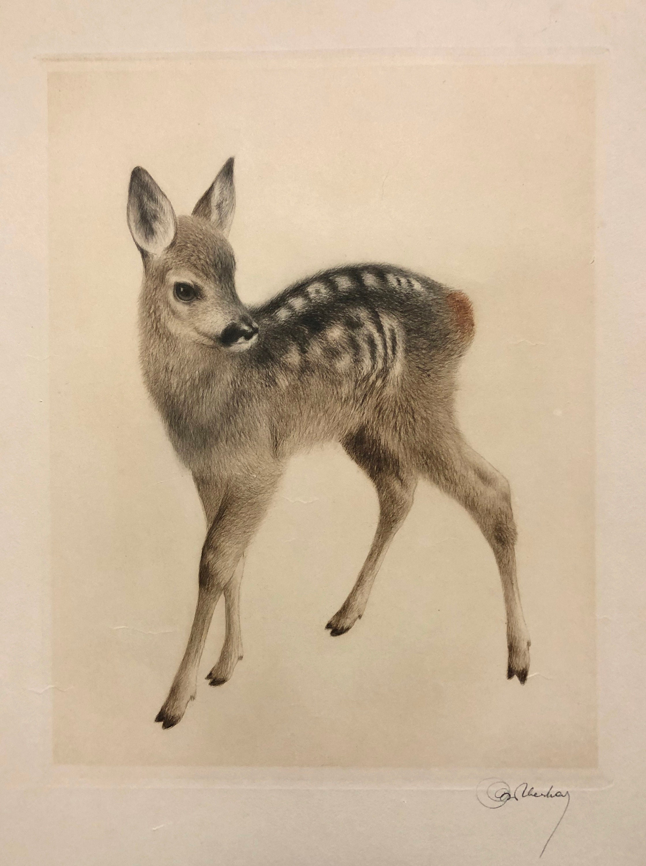  Meyer-Eberhardt 銅版画 il_fullxfull.5410537911_ck7s.jpg