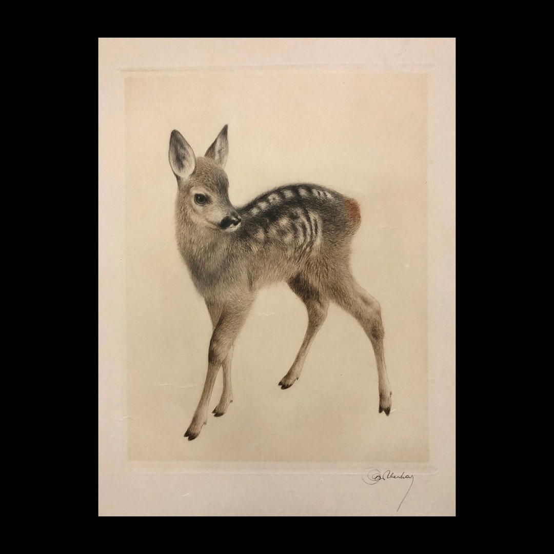 『2匹のテリア犬』ヴィンテージ銅版画 Kurt Meyer Eberhardt 2匹のテリア犬』ヴィンテージ銅版画 Kurt Meyer Eberhardt