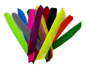 May include: A collection of brightly colored fletching for arrows. The fletching is made of feathers and comes in a variety of colors, including green, red, yellow, blue, purple, and gray.