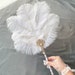 see more listings in the Feather Hand Fans  section