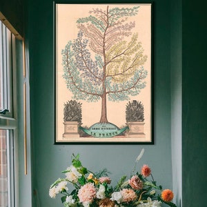 Arbre illustrant l'histoire de France, carte chronologique de France, art mural France, décoration murale art français.