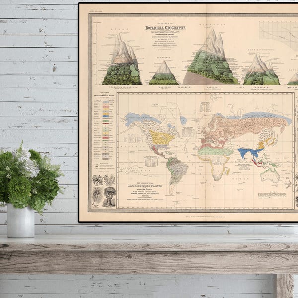 Botanische Geographie, Botanisches Poster, Botanische Wandkunst, Botanische Geschenke, Geographiekunst, Alexander von Humbolt-Verteilung der Pflanzen.