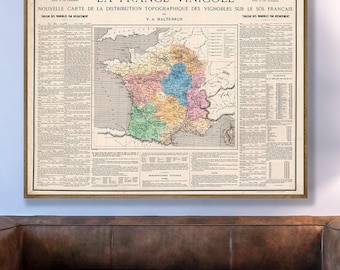 Antike Französische Weinkarte Druck: Weinberge von Frankreich, 1874