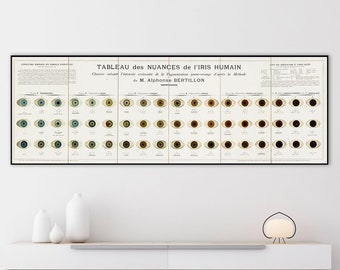 Eye color chart vintage, iris patterns, human iris, biology art, science poster, biology poster print, medical gift, science wall art.