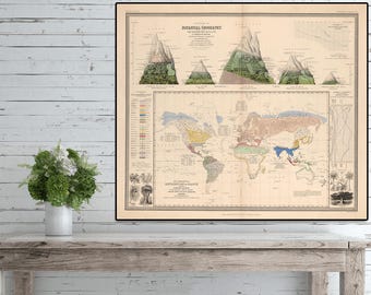 Botanical Geography, Botanical poster, Botanical wall art, Botanical gifts, Geography art, Alexander von Humboldt Distribution of Plants.