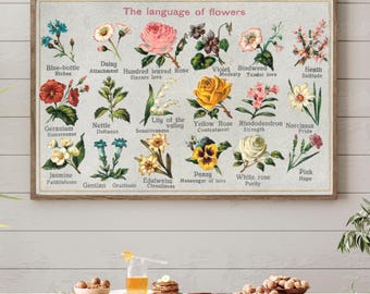 Floriography Print: Victorian Language of Flowers Poster