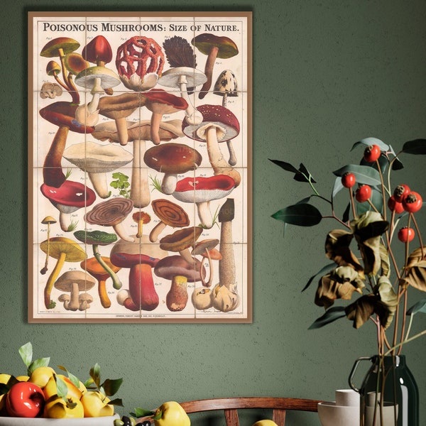 Poisonous Mushrooms poster vintage, mushrooms decor, fungi print, mycology art, kitchen wall art, biology poster.