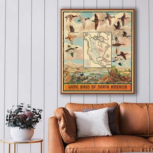 Bildhafte Poster-Karte von Nordamerika mit den Zugwegen der Wasser- und Wildvögel.