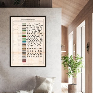 Geologie kunst aan de muur, vintage geologie perioden, geologie chronologische tijdschaal, Franse geologische grafiek, geologie decor.