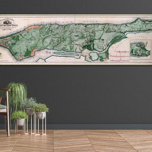 Egbert L. Viele’s Karte von Manhattan aus dem Jahr 1865 ist eine der kultigsten Karten von New York, sie zeigt alle ursprünglichen Wasserläufe von Manhattan Island