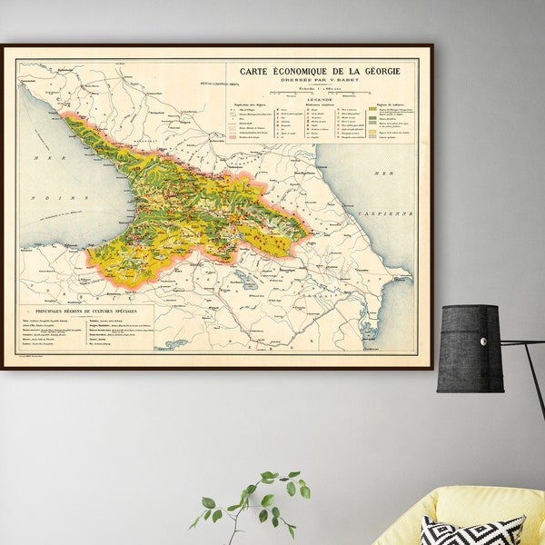 Republic of Georgia map print, Economic Map of Georgia in French, Georgia country print, Georgian gifts.