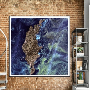 NASA photo in the style of Van Gogh&#39;s Starry Night greenish phytoplankton swirl in the dark water around Gotland, Sweden.Van Gogh from space