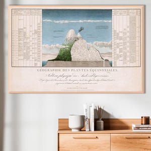 Humboldts fysieke tafel van de Andes-afdruk: geografische verkenningskunst uit 1805