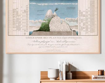 Humboldts fysieke tafel van de Andes-afdruk: geografische verkenningskunst uit 1805