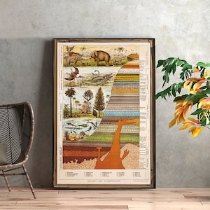 Geologieposter met geologische tijdperken en periodes met de bijbehorende gesteenten, soorten flora en fauna die toen leefden.