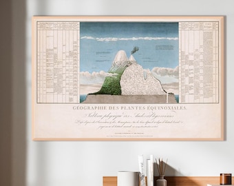 Tabla Física de los Andes y Países Vecinos de Alexander von Humboldt, fenómenos naturales, arte mural de la naturaleza, exploración geográfica