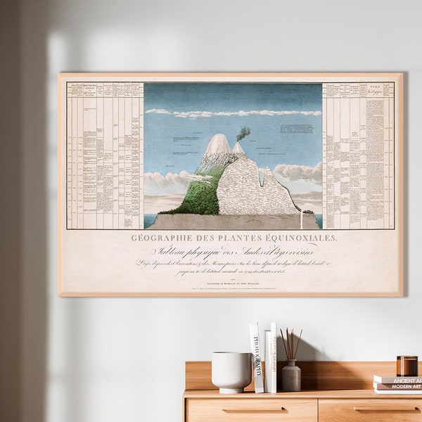 Tableau physique d'Alexander von Humboldt des Andes et des pays voisins, phénomènes naturels, art mural nature, exploration géographique
